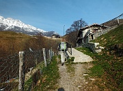 In RESEGONE su neve primaverile da Fuipiano Imagna il 17 aprile 2013 - FOTOGALLERY